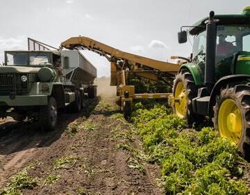 agriculture